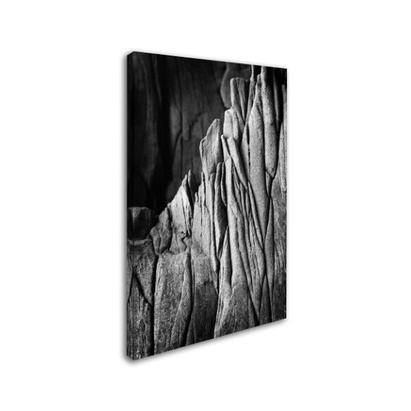 Philippe Sainte-Laudy 'Camouflage' Canvas Art,16x24